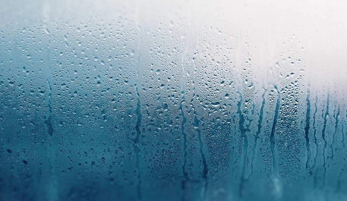 What Is Humidity and Why Does It Matter?