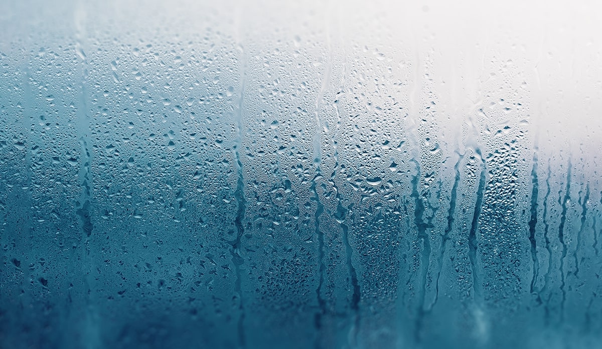 What Is Humidity And Why Does It Matter 58 OFF