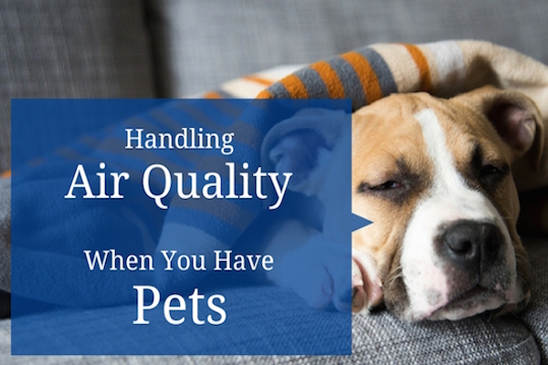 Air-Quality-with-Pets