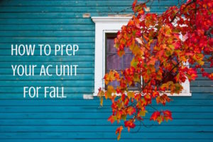 How to Prepare Your AC Unit for Fall 1 how to prep your ac unit for fall 300x200 1